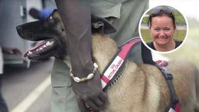Tříletá česká fenka patří k nejlepším psům na vyhledávání slonoviny. V Kongu pomáhá bojovat proti pytlákům a pašerákům.