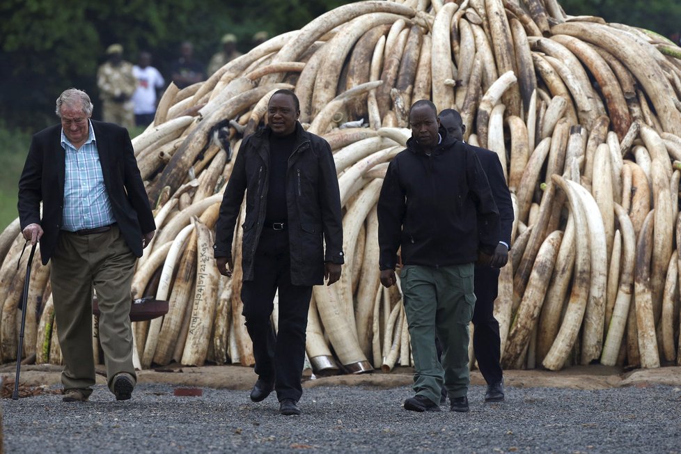 Afričtí rangeři zachytí tuny slonoviny.