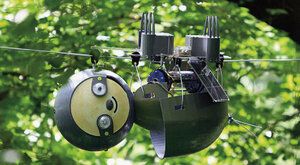 Kdo ochrání přírodu? Roboti a drony! Stáhnete si je?