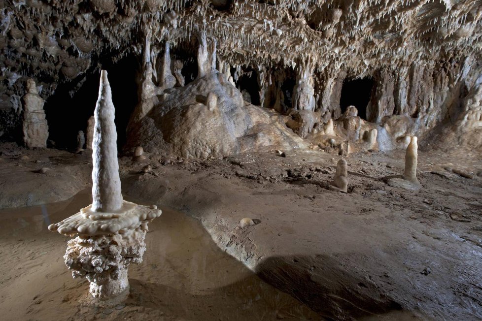 Symbolem Sloupsko-šošůvských jeskyní je stalagmit zvaný Svícen.