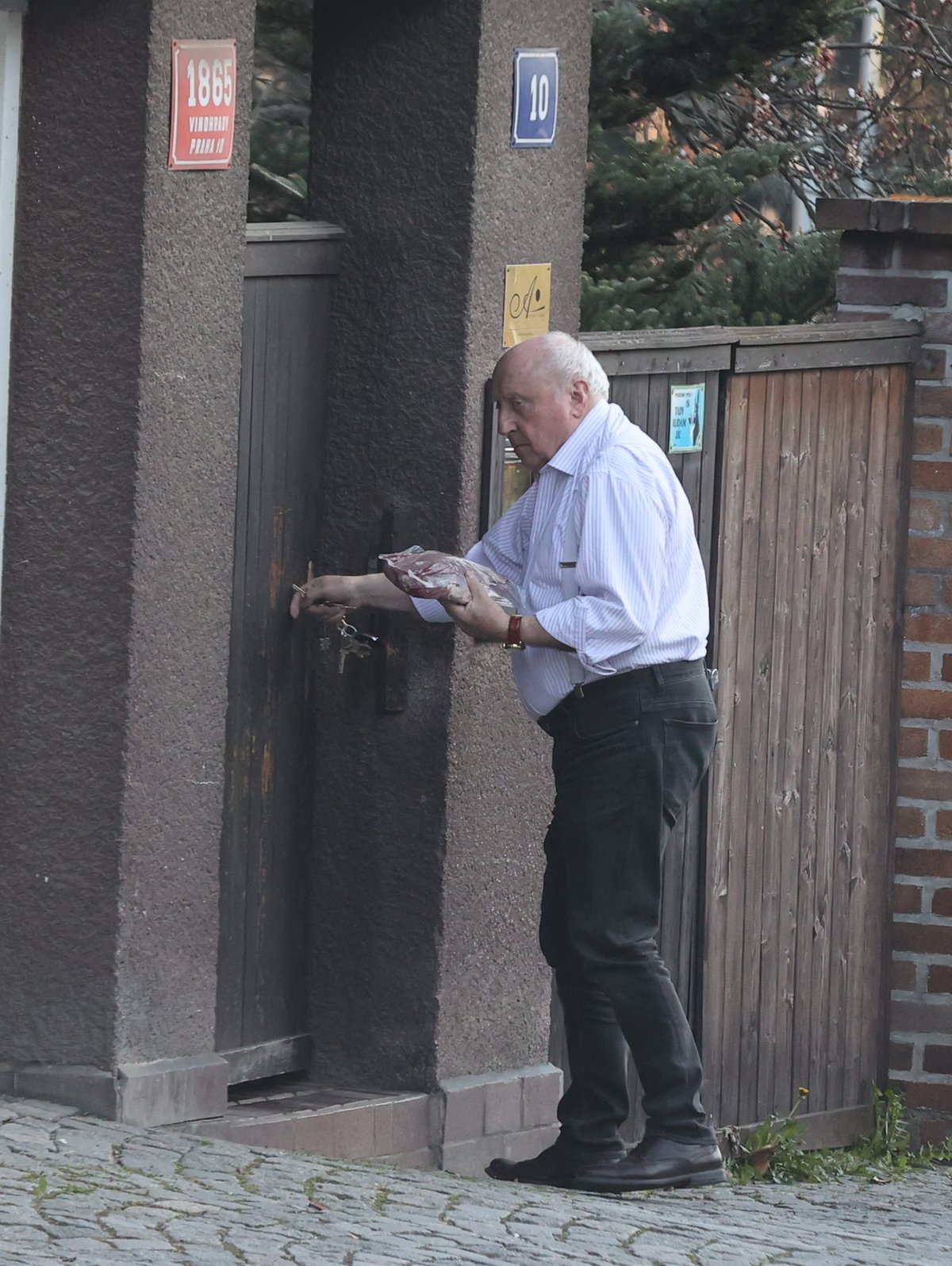 Felix Slováček přinesl Dádě k narozeninám kus masa. Cestou už se těšil, jak mu biftek hodí na pánvičku.