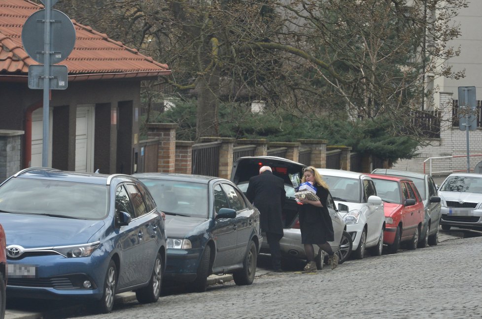 Felix Slováček vozí Dádě obří nákupy do jejich vily.