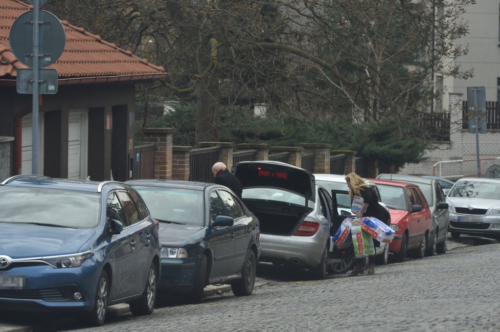 Felix Slováček vozí Dádě obří nákupy do jejich vily.