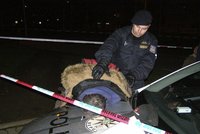 Zatáhl ji do křoví a pořezal nožem: Cizince v Praze zadrželi policisté