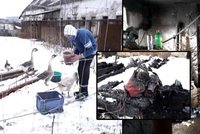 Mladá rodina přišla při požáru farmy o všechno: Před ohněm zachránili osmdesát zvířat