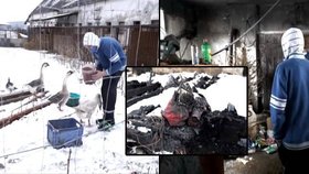 Čtyřčlenná rodina ze Slovenska přišla o střechu nad hlavou. Na farmě, kde žili dlouhých deset let, vypukl požár. Podařilo se jim zachránit desítky zvířat, ale přišli o domov a své věci.
