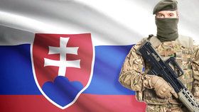 Sousedé ČR se připravují na válku: Po Německu už i Slovensko.
