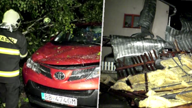 Vyvrácené stromy, poškozené střechy a zatopené sklepy: Slovenskem se prohnala divoká bouře