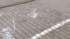 Policisté prošetřují smrt tří lidí v Bratislavě.
