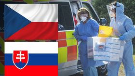 Slovensko bude jednat o zařazení Česka na seznam rizikových zemí.