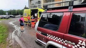 Podle záchranářů se chlapec držel kovového lana ve chvíli, kdy udeřil blesk