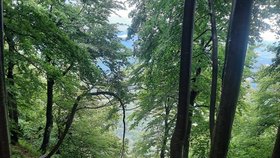Chlapečka s otcem zastihla na stezce bouře