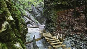 Lesy, řeky, vodopády – Slovenský ráj