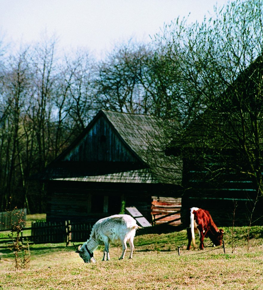 Skanzen Svidník