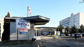 Fakultní nemocnice ve slovenské Nitře během epidemie covidu-19 (11. 1. 2021)