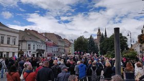 Slovensko demonstruje proti vládě a covidovým opatřením