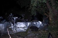 Auto na Liberecku narazilo do stromu: Řidič byl na místě mrtvý