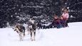 Křupání sněhu pod skluznicemi si v Donovalech vychutnáte i ze saní s trénovaným psím spřežením.