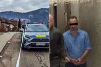 Hádka skončila vraždou! Alex zasadil Libuši 21 bodných ran: Odsedí si 20 let