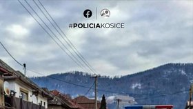 K incidentu došlo v únoru ve slovenské obci Helcmanovce