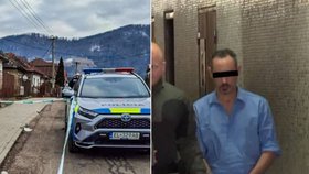 Muž dostal 20 let vězení za brutální vraždu partnerky Libuše