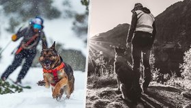 O záchranářském psu Hectorovi (†8) vyšla kniha.