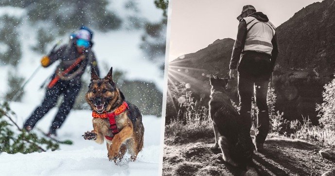 O záchranářském psu Hectorovi (†8) vyšla kniha.