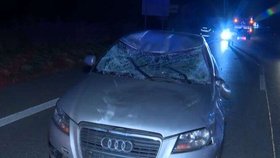 Losice vběhla pod auto u Košic, dva zranění, zvíře nepřežilo.