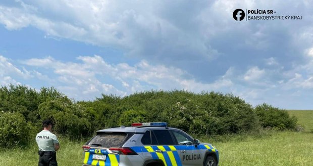 Na Slovensku zabila kráva muže na pastvě