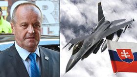 Slovenské ministerstvo obrany v čele s ministrem Peterem Gajdošem (SNS) upřednostňuje při plánovaném nákupu stíhaček pro armádu americké stroje F-16. O zakázce za více než miliardu eur (25,8 miliardy korun) rozhodne vláda