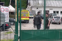 Lev ve slovenské zoo roztrhal chovatele: Záchranáři ve výběhu našli nohu!