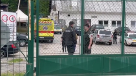 Lev ve slovenské zoo roztrhal chovatele: Záchranáři ve výběhu našli nohu!