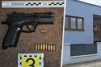 Tátu se synem brutálně zbili: Nebezpečný pachatel se skrývá v Česku?!