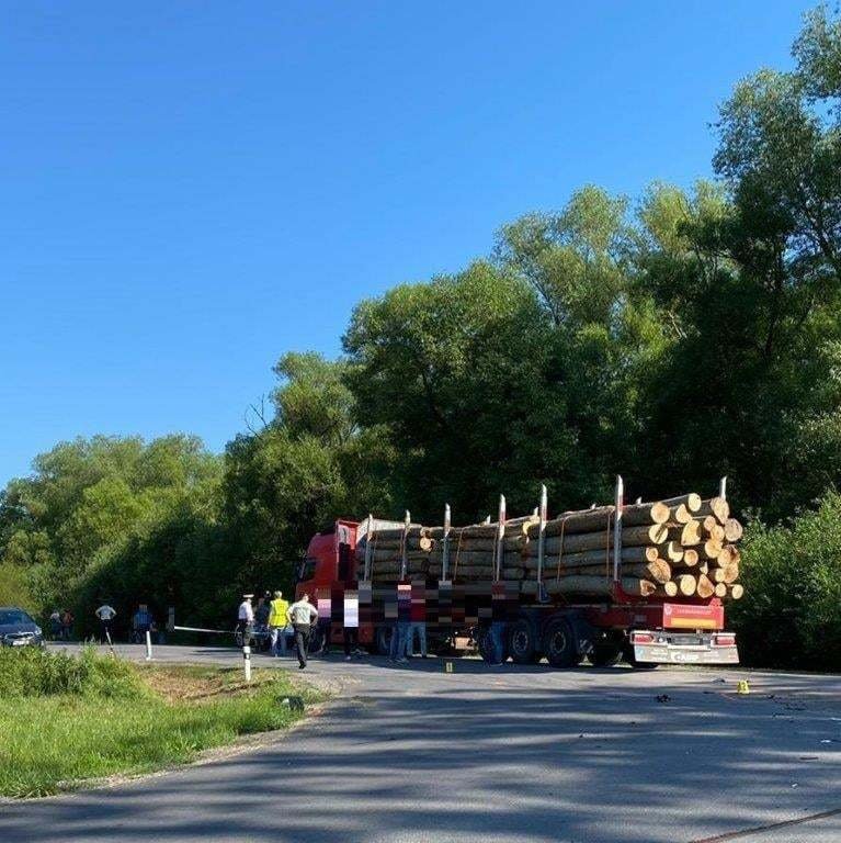 Kamion se dřevem vezl 37letý muž.