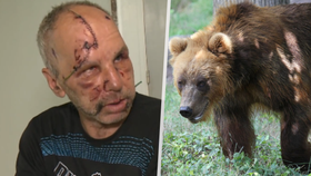 Mariána (58) na Slovensku napadla medvědice.