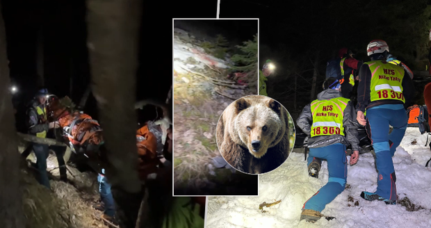Medvěd v Tatrách pronásledoval pár! Žena při útěku spadla zřejmě ze skály