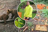 U rodinného domu běsnili medvědi: Včelař Martin prozradil... Hotová spoušť za plotem!