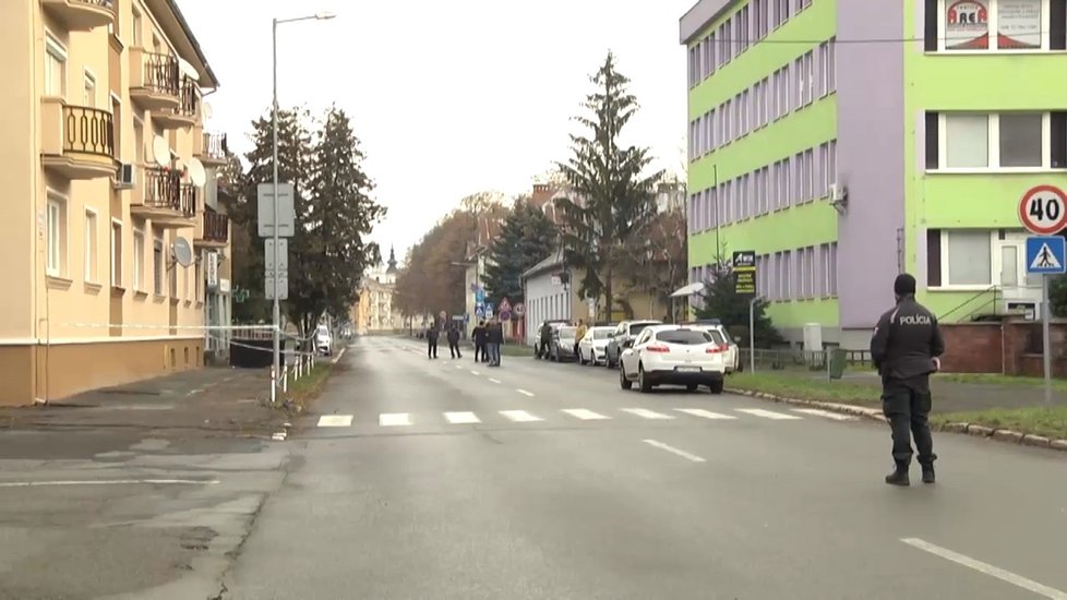 Slovenští policisté vyšetřují smrt ženy v Michalovcích.