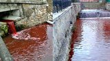 Krvavá řeka vyděsila Slováky: Jatka na Myjavě?