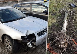 Opilý řidič (31) vyjel ze silnice, porazil značku a narazil do stromu: Při nehodě byla zraněna dcera (12) poslance!