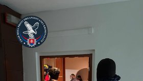 Rodiče měli nabízet nezletilou dceru na sex.