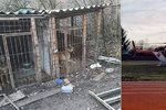 Dominika (6) brutálně potrhal belgický ovčák: Chlapce našli na zahradě nahého!