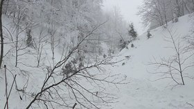 Lavina na Slovensku v Malé Fatře zabila domácího skialpinistu. Slovenská horská služba varovala, že kvůli sněžení lavinové nebezpečí roste. (9. 1. 2019)