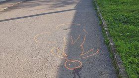 Takhle slovenští policisté nakreslili polohu cyklisty, který po fatálním pádu zemřel.