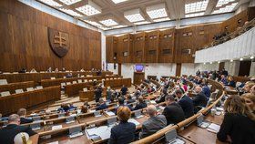 Slovenský parlament (ilustrační foto)