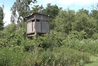 Tragédie na Tachovsku: Myslivec při honu omylem zastřelil kolegu