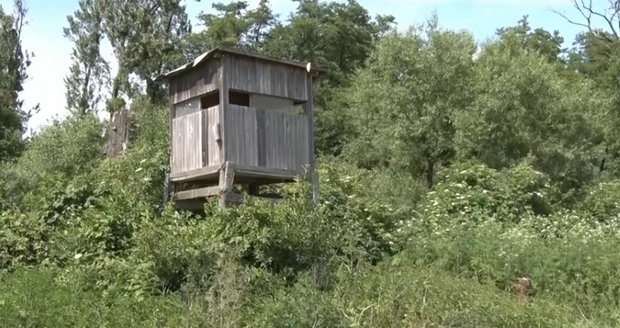 Ilustrační foto. Ilustrační foto.