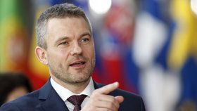 Slovenský premiér Peter Pellegrini