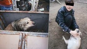 Šokující zprávy ze Slovenska: Romové prodávali psy na maso Vietnamcům.