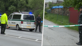 Lupiči vtrhli do domu martinské soudkyně.